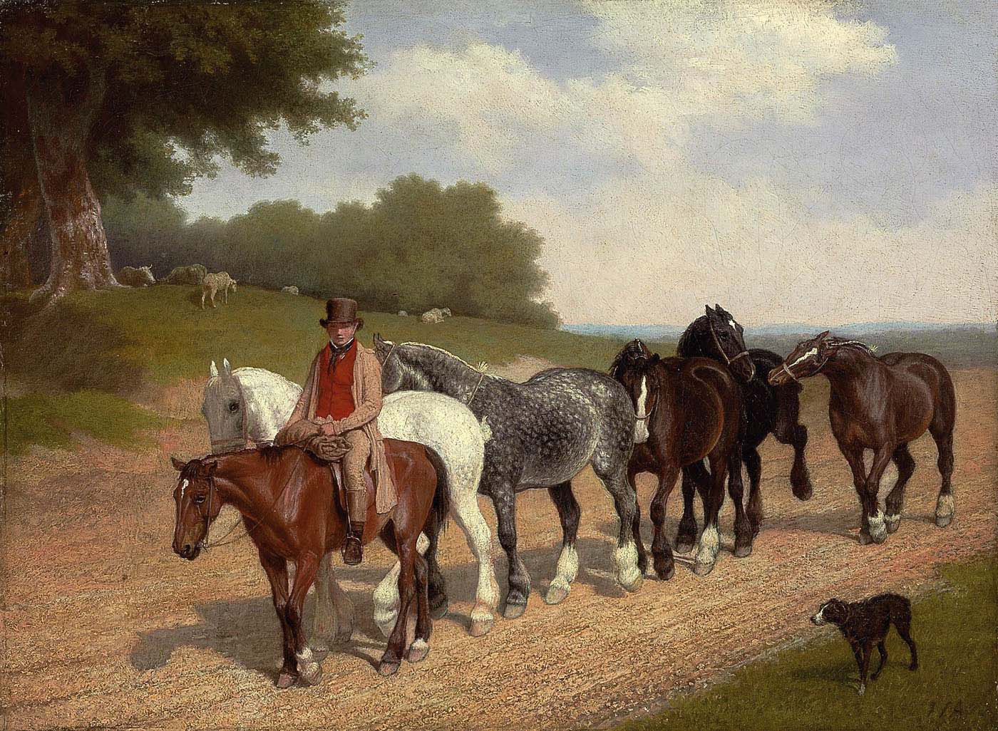 groom with a string of carthorses and a dog